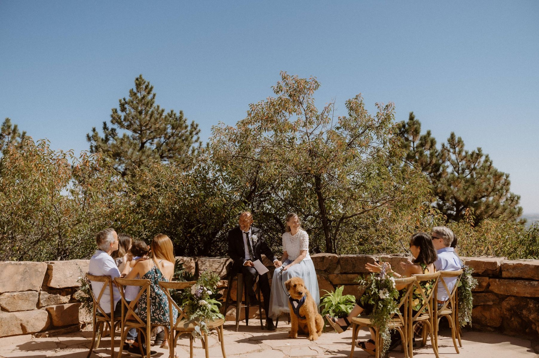 A couple sitting together at their wedding ceremony with their dog and their guests are sitting in wooden chairs facing them and clapping 