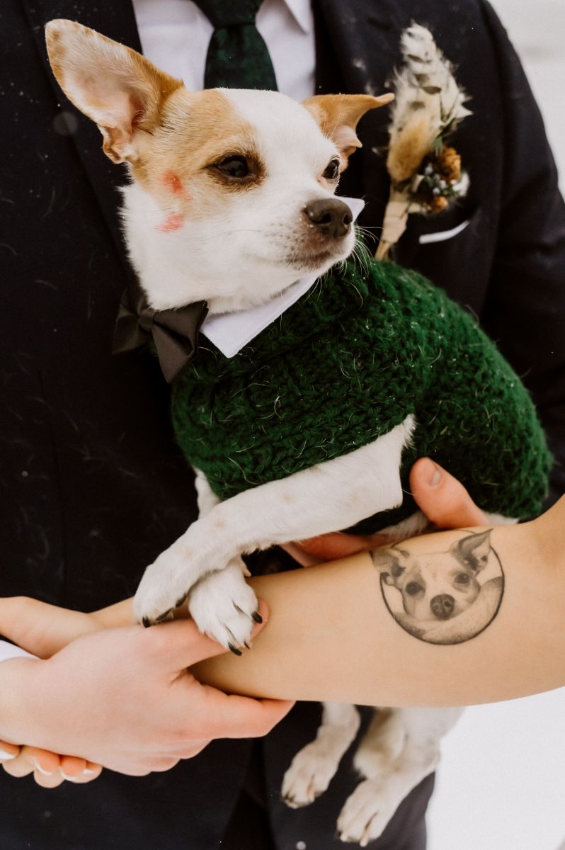 a man wearing a black suit holding a dog wearing a green sweater 