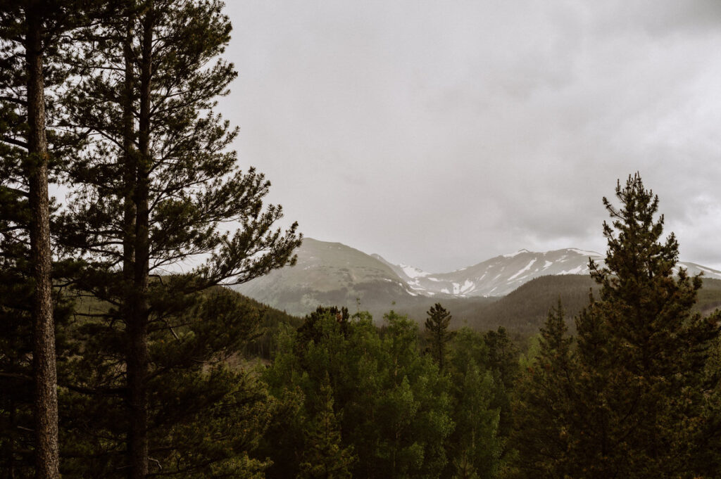 View of mountains in the distance over a wooded area 